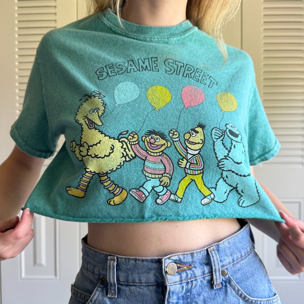 Sesame Street Crop Top, Urban Outfitters, Size Small